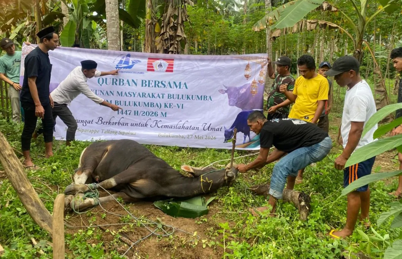 Qurban Bersama KM Bulukumba ke-VI Kembali Digelar, Ketupat Ahmad Kurniawan Apresiasi Sohibul Kurban