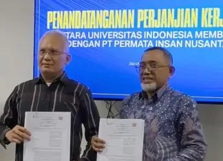 PT Permata Insan Nusantara